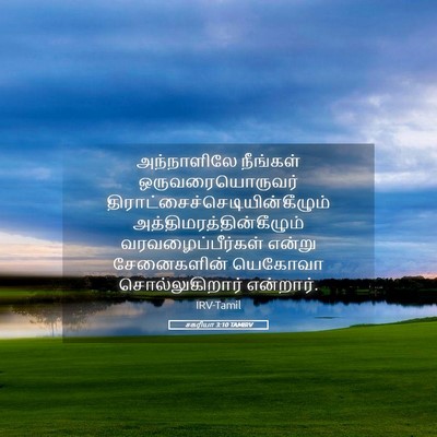 Picture 05 - சகரியா 3:10 TAMIRV - அந்நாளிலே நீங்கள் - Bible Verse Picture
