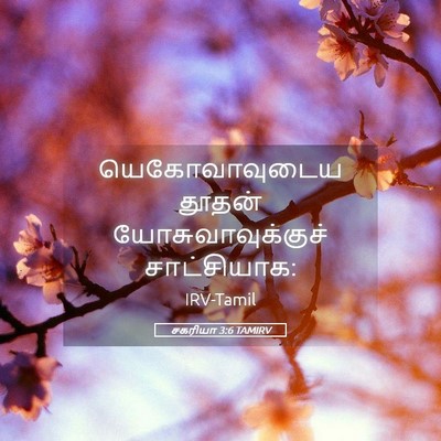 Picture 05 - சகரியா 3:6 TAMIRV - யெகோவாவுடைய தூதன் - Bible Verse Picture