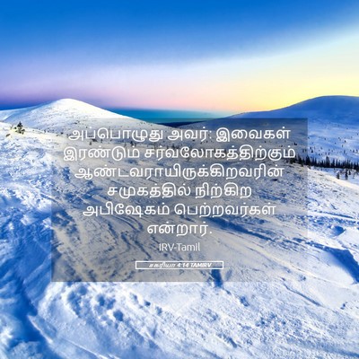 Picture 05 - சகரியா 4:14 TAMIRV - அப்பொழுது அவர்: - Bible Verse Picture