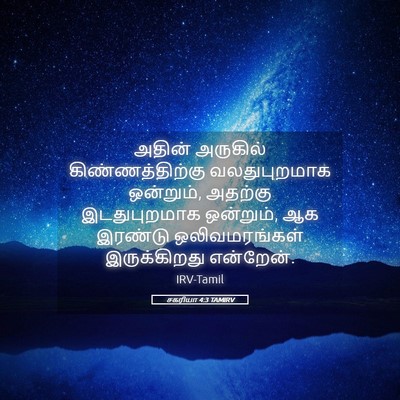 Picture 05 - சகரியா 4:3 TAMIRV - அதின் அருகில் - Bible Verse Picture