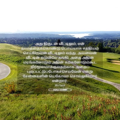 Picture 05 - சகரியா 5:4 TAMIRV - அது திருடன் - Bible Verse Picture