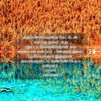 Picture 05 - சகரியா 5:6 TAMIRV - அது என்னவென்று - Bible Verse Picture