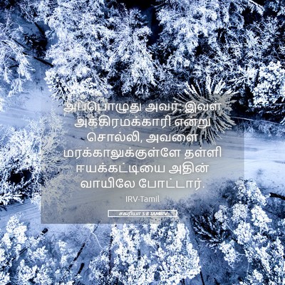 Picture 05 - சகரியா 5:8 TAMIRV - அப்பொழுது அவர்: - Bible Verse Picture