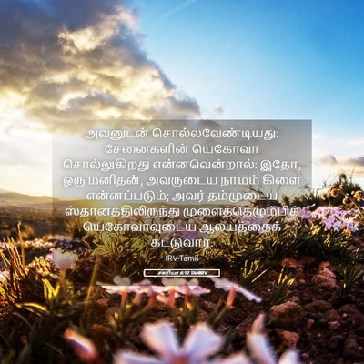 Picture 05 - சகரியா 6:12 TAMIRV - அவனுடன் - Bible Verse Picture