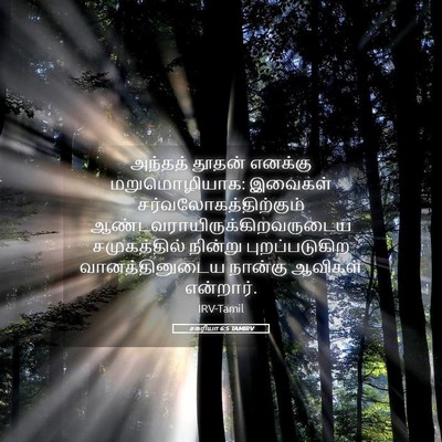 Picture 05 - சகரியா 6:5 TAMIRV - அந்தத் தூதன் - Bible Verse Picture