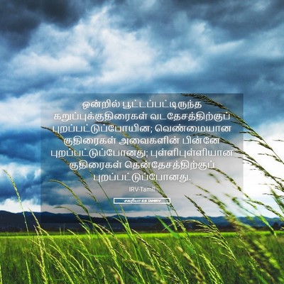 Picture 05 - சகரியா 6:6 TAMIRV - ஒன்றில் - Bible Verse Picture