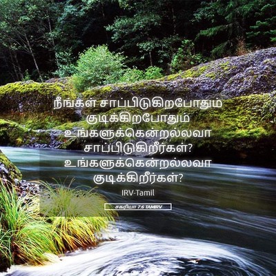 Picture 05 - சகரியா 7:6 TAMIRV - நீங்கள் - Bible Verse Picture