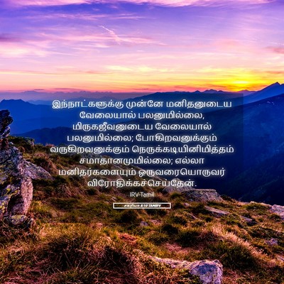 Picture 05 - சகரியா 8:10 TAMIRV - இந்நாட்களுக்கு - Bible Verse Picture