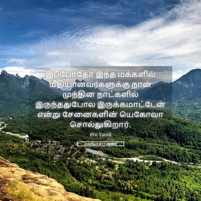 Picture 05 - சகரியா 8:11 TAMIRV - இப்போதோ இந்த - Bible Verse Picture
