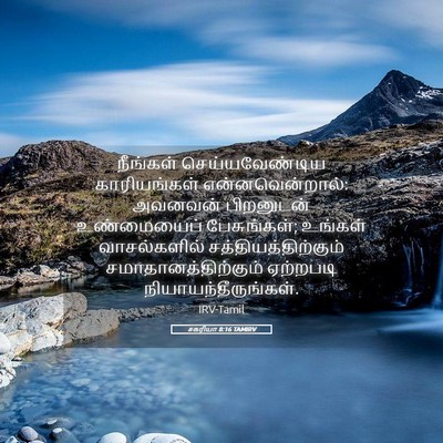 Picture 05 - சகரியா 8:16 TAMIRV - நீங்கள் - Bible Verse Picture
