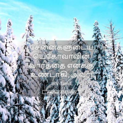 Picture 05 - சகரியா 8:18 TAMIRV - சேனைகளுடைய - Bible Verse Picture