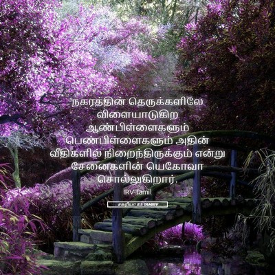 Picture 05 - சகரியா 8:5 TAMIRV - நகரத்தின் - Bible Verse Picture