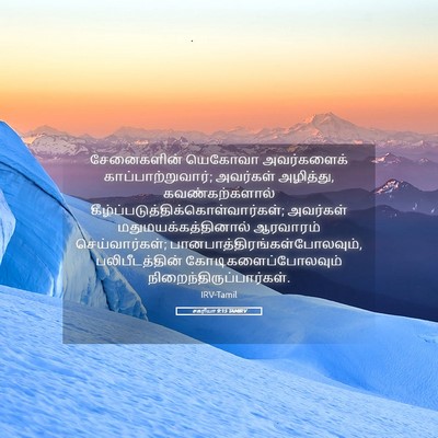 Picture 05 - சகரியா 9:15 TAMIRV - சேனைகளின் யெகோவா - Bible Verse Picture