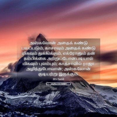 Picture 05 - சகரியா 9:5 TAMIRV - அஸ்கலோன் அதைக் - Bible Verse Picture