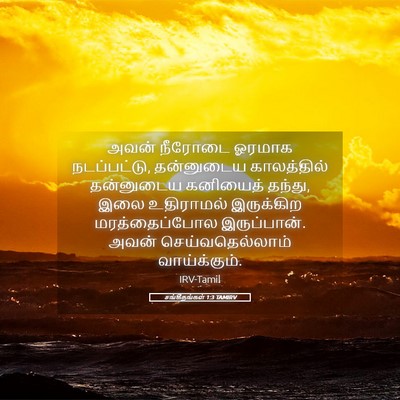 Picture 05 - சங்கீதங்கள் 1:3 TAMIRV - அவன் நீரோடை ஓரமாக - Bible Verse Picture