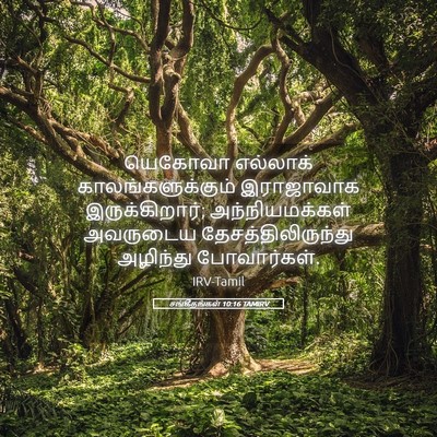 Picture 05 - சங்கீதங்கள் 10:16 TAMIRV - யெகோவா எல்லாக் - Bible Verse Picture