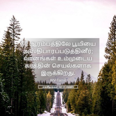 Picture 05 - சங்கீதங்கள் 102:25 TAMIRV - நீர் ஆரம்பத்திலே - Bible Verse Picture
