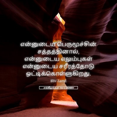 Picture 05 - சங்கீதங்கள் 102:5 TAMIRV - என்னுடைய - Bible Verse Picture