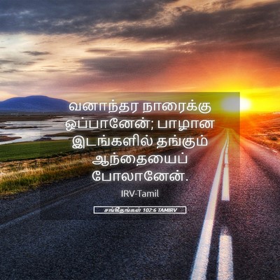 Picture 05 - சங்கீதங்கள் 102:6 TAMIRV - வனாந்தர நாரைக்கு - Bible Verse Picture
