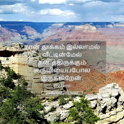 Picture 05 - சங்கீதங்கள் 102:7 TAMIRV - நான் தூக்கம் - Bible Verse Picture