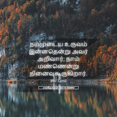 Picture 05 - சங்கீதங்கள் 103:14 TAMIRV - நம்முடைய உருவம் - Bible Verse Picture