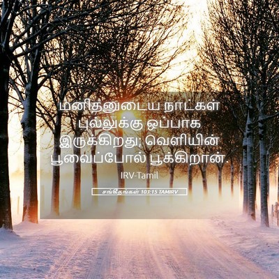 Picture 05 - சங்கீதங்கள் 103:15 TAMIRV - மனிதனுடைய நாட்கள் - Bible Verse Picture