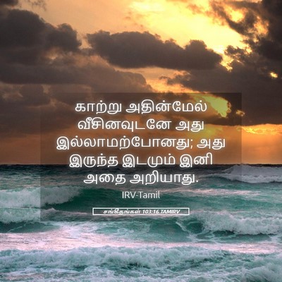 Picture 05 - சங்கீதங்கள் 103:16 TAMIRV - காற்று அதின்மேல் - Bible Verse Picture