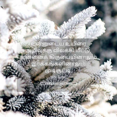 Picture 05 - சங்கீதங்கள் 103:4 TAMIRV - உன்னுடைய உயிரை - Bible Verse Picture