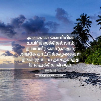Picture 05 - சங்கீதங்கள் 104:11 TAMIRV - அவைகள் வெளியின் - Bible Verse Picture