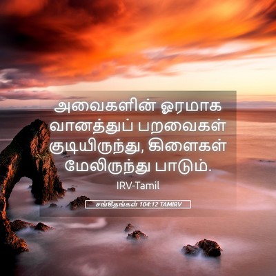 Picture 05 - சங்கீதங்கள் 104:12 TAMIRV - அவைகளின் ஓரமாக - Bible Verse Picture