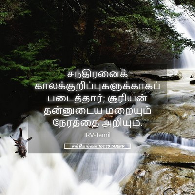 Picture 05 - சங்கீதங்கள் 104:19 TAMIRV - சந்திரனைக் - Bible Verse Picture