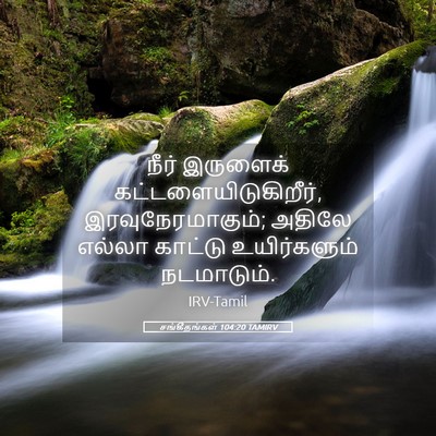 Picture 05 - சங்கீதங்கள் 104:20 TAMIRV - நீர் இருளைக் - Bible Verse Picture