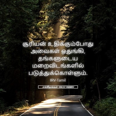 Picture 05 - சங்கீதங்கள் 104:22 TAMIRV - சூரியன் - Bible Verse Picture