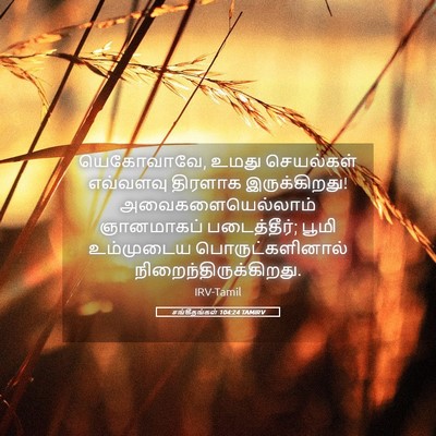 Picture 05 - சங்கீதங்கள் 104:24 TAMIRV - யெகோவாவே, உமது - Bible Verse Picture