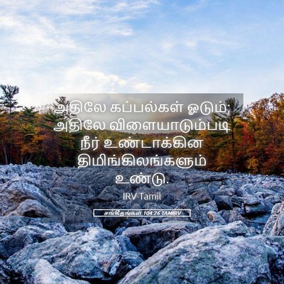 Picture 05 - சங்கீதங்கள் 104:26 TAMIRV - அதிலே கப்பல்கள் - Bible Verse Picture