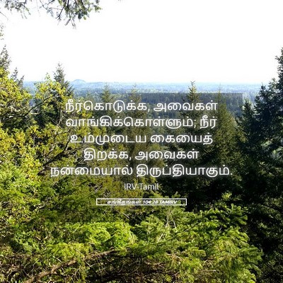 Picture 05 - சங்கீதங்கள் 104:28 TAMIRV - நீர்கொடுக்க, - Bible Verse Picture