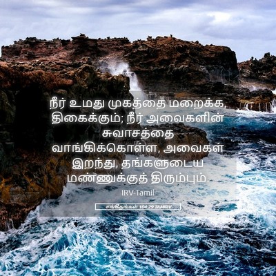 Picture 05 - சங்கீதங்கள் 104:29 TAMIRV - நீர் உமது முகத்தை - Bible Verse Picture