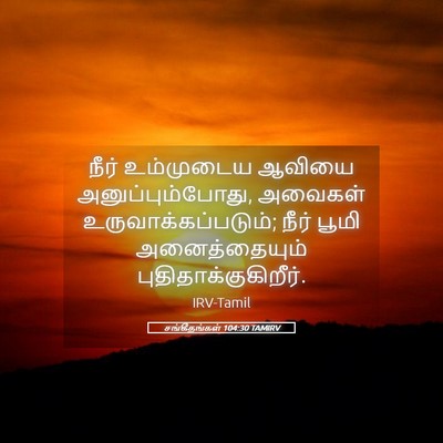 Picture 05 - சங்கீதங்கள் 104:30 TAMIRV - நீர் உம்முடைய - Bible Verse Picture