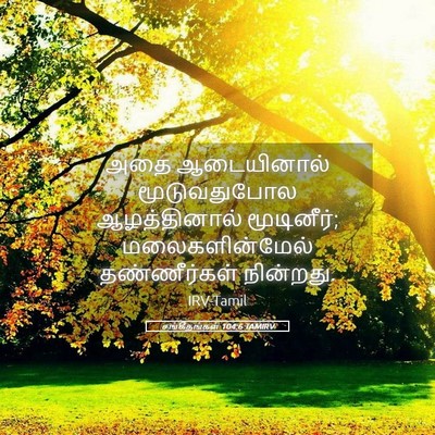 Picture 05 - சங்கீதங்கள் 104:6 TAMIRV - அதை ஆடையினால் - Bible Verse Picture