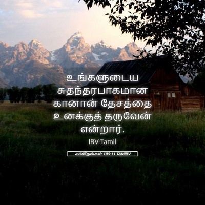 Picture 05 - சங்கீதங்கள் 105:11 TAMIRV - உங்களுடைய - Bible Verse Picture
