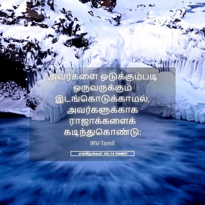 Picture 05 - சங்கீதங்கள் 105:14 TAMIRV - அவர்களை - Bible Verse Picture