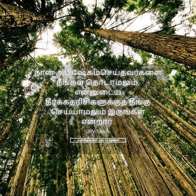Picture 05 - சங்கீதங்கள் 105:15 TAMIRV - நான் - Bible Verse Picture