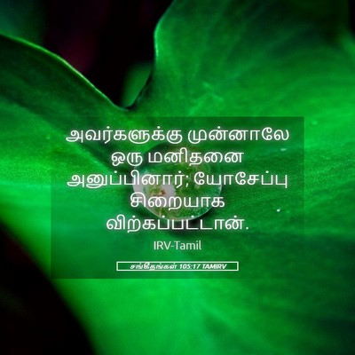 Picture 05 - சங்கீதங்கள் 105:17 TAMIRV - அவர்களுக்கு - Bible Verse Picture
