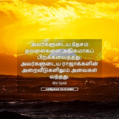 Picture 05 - சங்கீதங்கள் 105:30 TAMIRV - அவர்களுடைய தேசம் - Bible Verse Picture