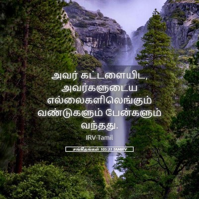 Picture 05 - சங்கீதங்கள் 105:31 TAMIRV - அவர் கட்டளையிட, - Bible Verse Picture