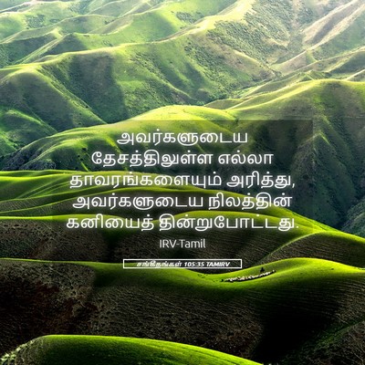 Picture 05 - சங்கீதங்கள் 105:35 TAMIRV - அவர்களுடைய - Bible Verse Picture