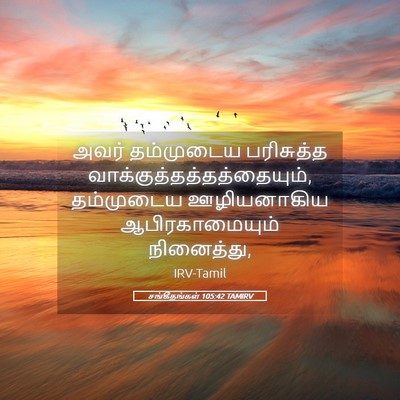 Picture 05 - சங்கீதங்கள் 105:42 TAMIRV - அவர் தம்முடைய - Bible Verse Picture