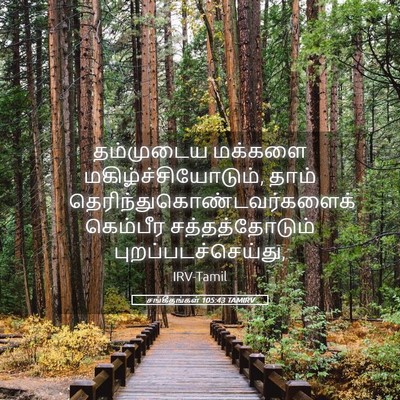 Picture 05 - சங்கீதங்கள் 105:43 TAMIRV - தம்முடைய மக்களை - Bible Verse Picture