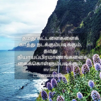 Picture 05 - சங்கீதங்கள் 105:44 TAMIRV - தமது கட்டளைகளைக் - Bible Verse Picture