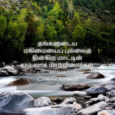 Picture 05 - சங்கீதங்கள் 106:20 TAMIRV - தங்களுடைய - Bible Verse Picture